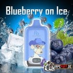 BLUEBERRY ON ICE randm 12000