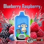 BLUEBERRY RASPBERRY randm 12000